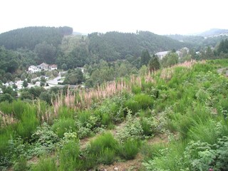 Casa per le vacanze Houffalize Ambiente 19