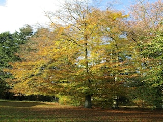 Holiday house Houffalize Environment 22