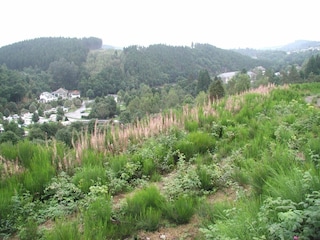 Ferienhaus Houffalize Umgebung 33