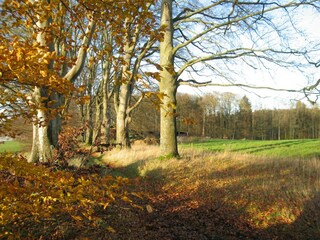 Vakantiehuis Houffalize Omgeving 31