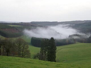 Maison de vacances Houffalize Environnement 21