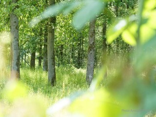 Vakantiehuis Somme-Leuze Omgeving 25