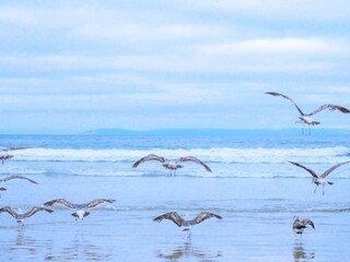 Chalet Callantsoog Ambiente 21