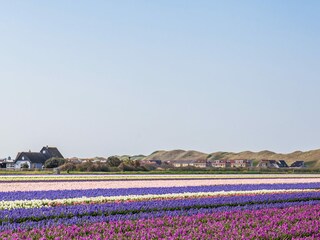 Vakantiehuis Julianadorp Omgeving 31