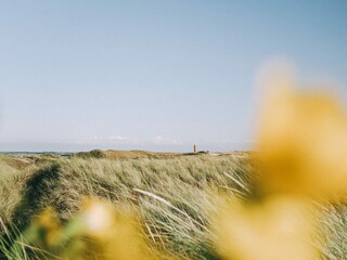 Chalet Callantsoog Ambiente 24