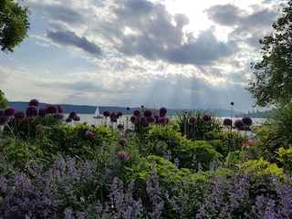 Appartamento per vacanze Überlingen Ambiente 21