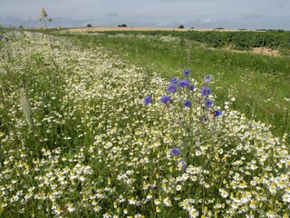 Casa per le vacanze Somme-Leuze Ambiente 25