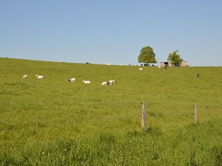 Ferienhaus Somme-Leuze Umgebung 24