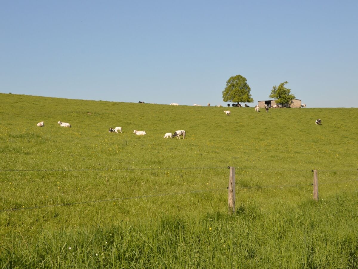 Ferienhaus Somme-Leuze Umgebung 20