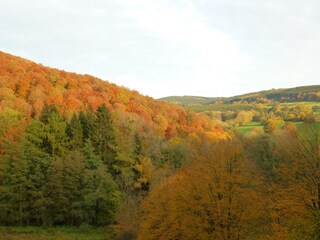 Casa de vacaciones Somme-Leuze Entorno 33