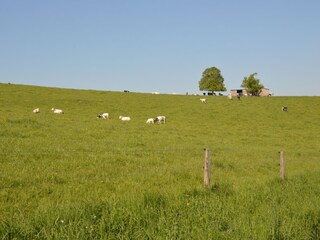 Maison de vacances Somme-Leuze Environnement 25