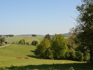 Ferienhaus Somme-Leuze Umgebung 22