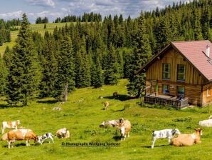 Holiday house Mountain hut with sauna on Weinebene - Weinebene - image1