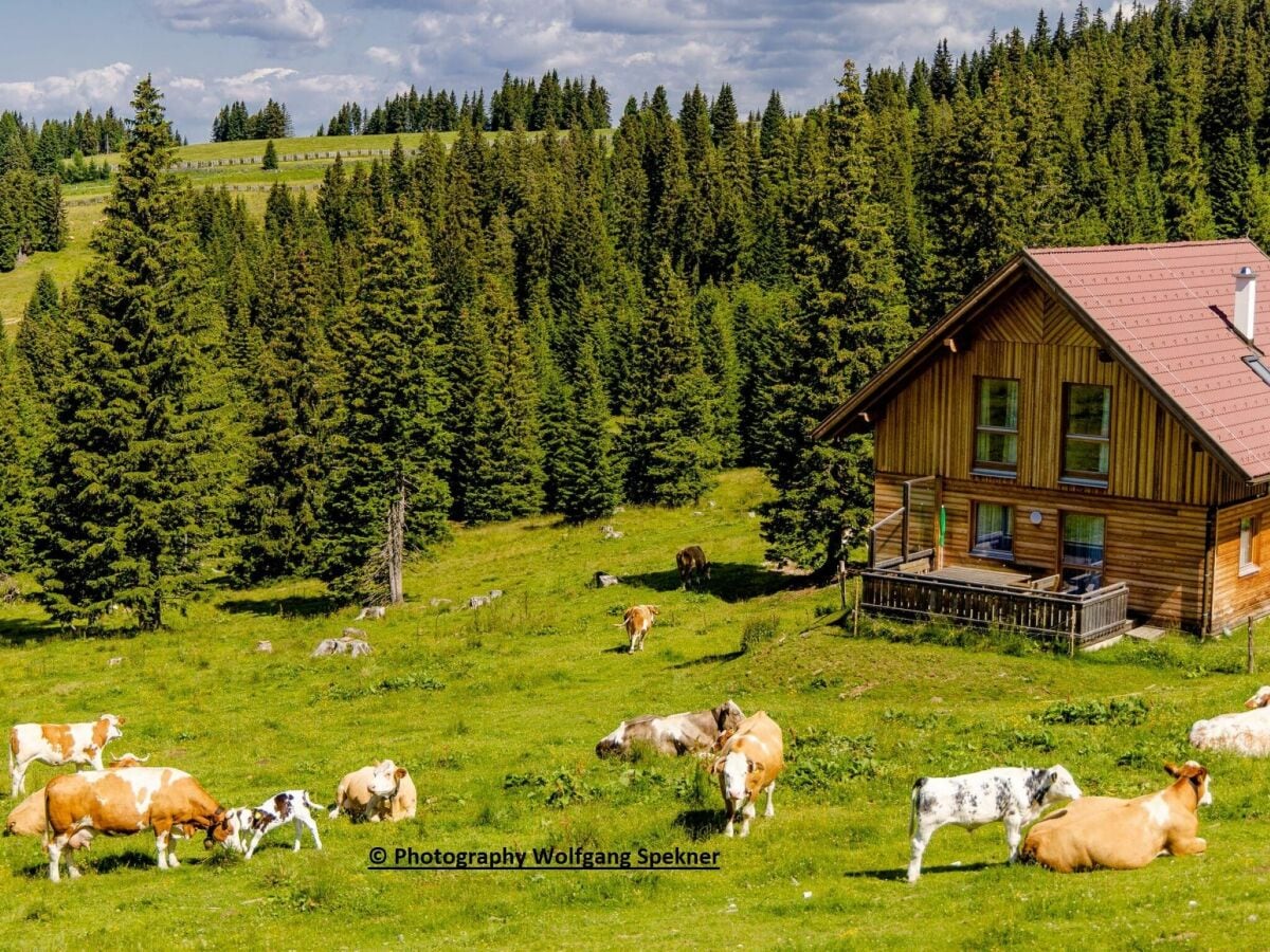 Ferienhaus Weinebene Außenaufnahme 1