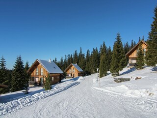 Casa de vacaciones Weinebene Entorno 25