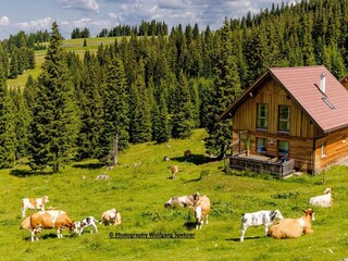 Vakantiehuis Weinebene Buitenaudio-opname 6