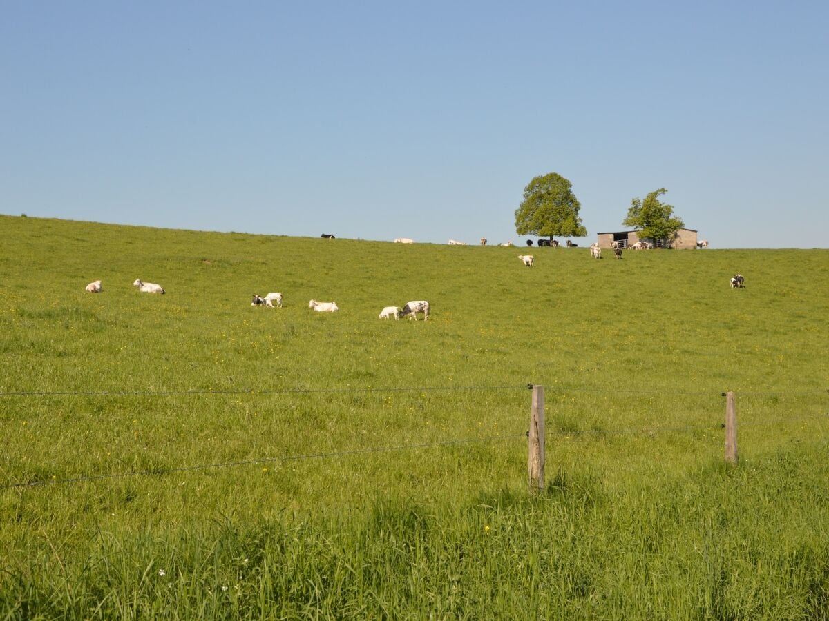 Ferienhaus Somme-Leuze Umgebung 21