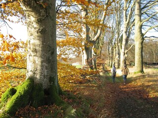Ferienhaus Somme-Leuze Umgebung 27