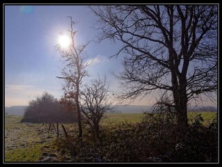 Vakantiehuis Somme-Leuze Omgeving 38