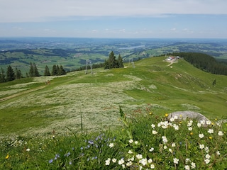 Traumblick  Richtung Grüntenhütte und Rottachsee