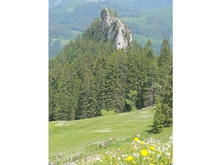 Blick vom Grünten zum Gigglstein