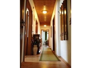 Appartamento per vacanze St. Kanzian Caratteristiche 11