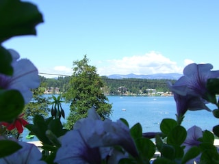 Vakantieappartement St. Kanzian Omgeving 3