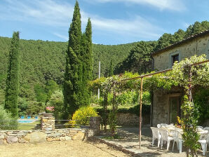 Ferienhaus in absoluter Alleinlage mit Pool - Buti - image1