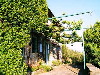 Vakantiehuis Buti Buitenaudio-opname 7