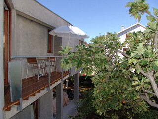 Holiday apartment Privlaka Environment 4