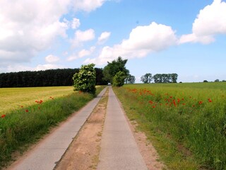 Appartamento per vacanze Karlshagen Ambiente 23