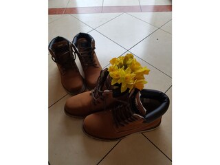 Apartamento de vacaciones Karlshagen Entorno 23