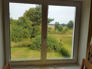 Blick aus dem Wohnzimmerfenster in die Natur