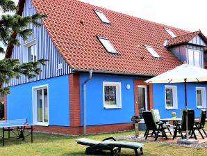Ferienhaus Das Blaue - Dreschvitz - image1