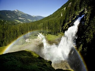 Chalet Wald im Pinzgau Environnement 31