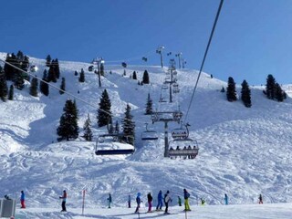 Chalet Wald im Pinzgau Umgebung 30