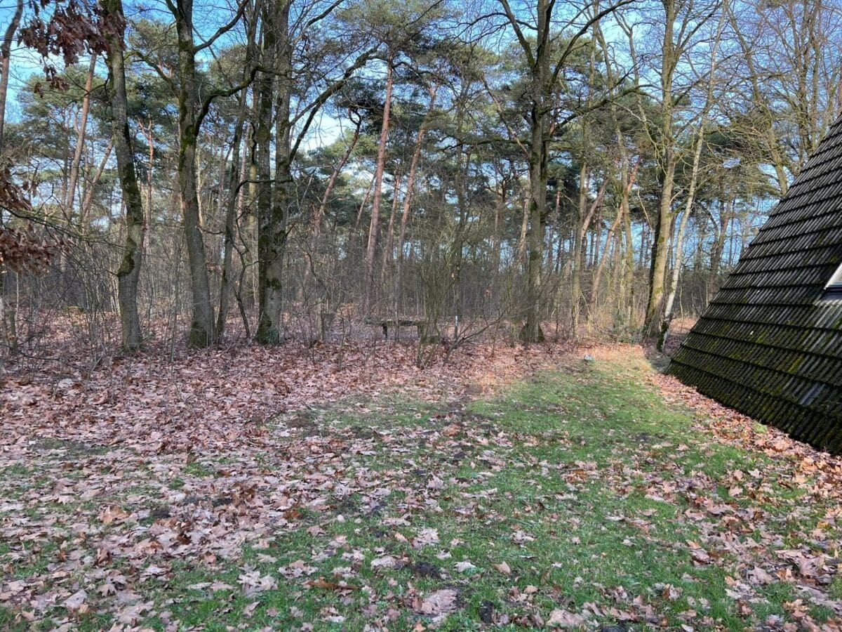 Ferienhaus Stramproy Außenaufnahme 6