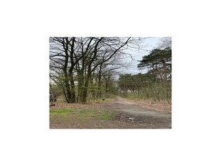 Vakantiehuis Stramproy Omgeving 25