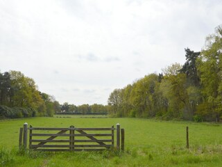 Ferienhaus Stramproy Umgebung 26