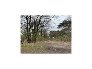 Vakantiehuis Stramproy Omgeving 24