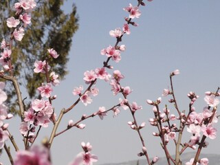 Casale Crestet Ambiente 20