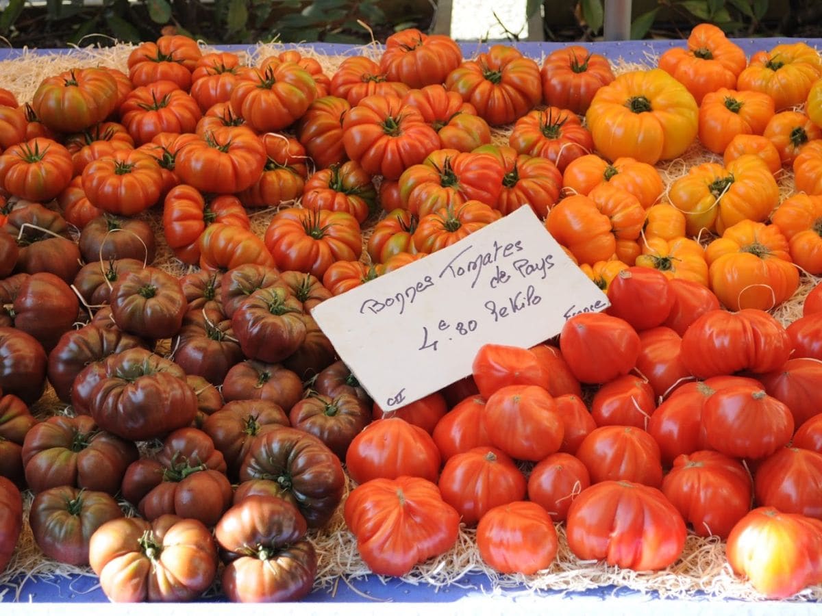 Markt in Vaison