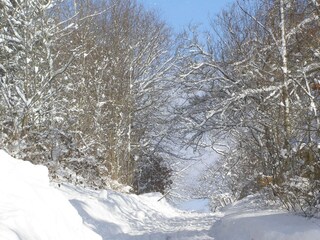 Forest path next to the house in winter