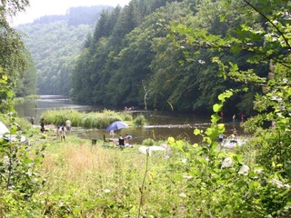 Chalet La Roche-en-Ardenne Environnement 33