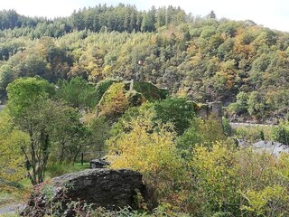 Chalet La Roche-en-Ardenne Umgebung 31