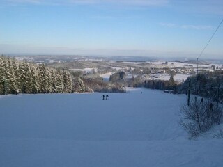 Chalet La Roche-en-Ardenne Environnement 36