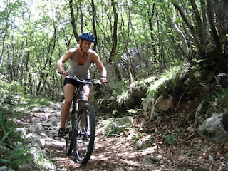 Vakantiehuis La Roche-en-Ardenne Omgeving 14