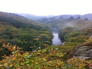 Ferienhaus La Roche-en-Ardenne Umgebung 14
