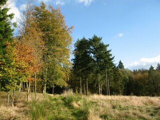 Casa per le vacanze La Roche-en-Ardenne Ambiente 21
