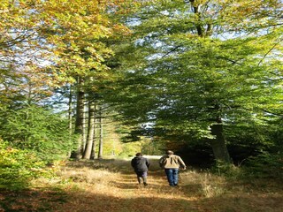 Casa per le vacanze Houffalize Registrazione all'aperto 2